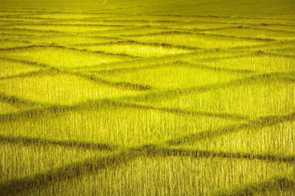 Wie kann man die Kundenzufriedenheit in digitalen Zeiten verbessern?